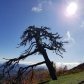 Blue Ridge Parkway