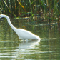 Tule Lake National Wildlife Refuge