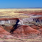 Petrified Forest National Park