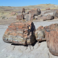 Petrified Forest National Park