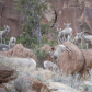 Colorado National Monument