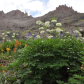 Uncompahgre National Forest