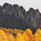 Grand Mesa and Uncompahgre National Forests