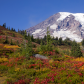 Mount Rainier National Park