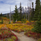 Mount Rainier National Park