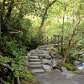 Great Smoky Mountains National Park