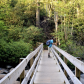 Great Smoky Mountains National Park