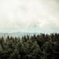 Great Smoky Mountains National Park