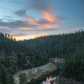 Coconino National Forest
