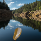 Coconino National Forest
