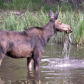 Grand Teton National Park