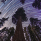 Kings Canyon National Park
