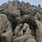 Joshua Tree National Park
