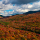 White Mountains National Forrest