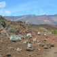 HaleakalÄ National Park