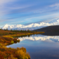 Denali National Park and Preserve 