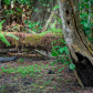 Big Cypress National Preserve
