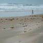 Cape Canaveral National Seashore