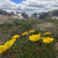 Rocky Mountain National Park