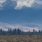 Grand Teton National Park