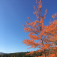Acadia National Park