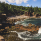 Acadia National Park 