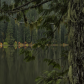 Gifford Pinchot National Forest