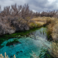Ash Meadows National Wildlife Refuge