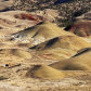 John Day Fossil Bed National Monument