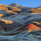 John Day Fossil Bed National Monument