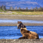 Katmai National Park and Preserve