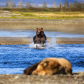 Katmai National Park and Preserve
