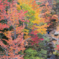 Acadia National Park