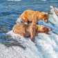 Katmai National Park and Preserve