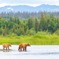 Katmai National Park and Preserve
