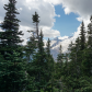 Mount Rainier National Park