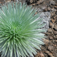 HaleakalÄ National Park