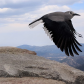 Rocky Mountain National Park