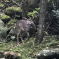 Great Smoky Mountains National Park