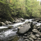 Great Smoky Mountains National Park