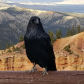 Bryce Canyon National Park
