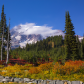 Mount Rainier National Park