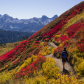 Mount Rainier National Park