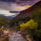 Zion National Park