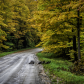 Hiawatha National Forest