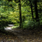 Hiawatha National Forest