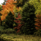 Hiawatha National Forest