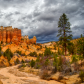 Bryce Canyon National Park