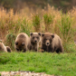 Katmai National Park and Preserve