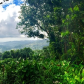El Yunque National Forest